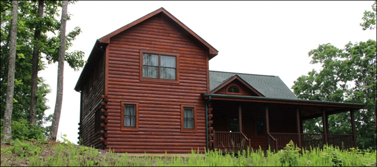 Professional Log Home Borate Application  Stewart County, Georgia